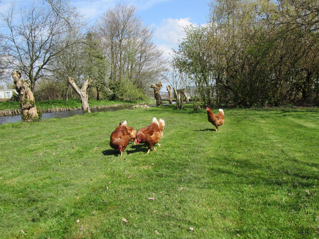 Bed&Brood De Straverdonk Graft Exterior photo